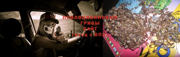 jwh Аркадак