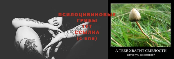 PSILOCYBIN Балахна