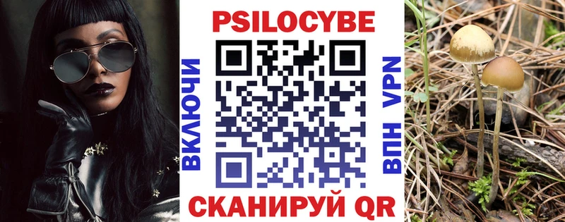 Галлюциногенные грибы мухоморы  закладки  Лермонтов 
